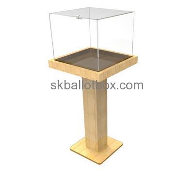 Plastic manufacturers custom acrylic floor standing charity collection boxes BB-1224
