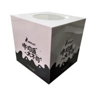 Custom plexiglass promotional raffle box