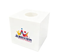 Custom acrylic corporate gatherings raffle box DB-423 Custom acrylic corporate gatherings raffle box